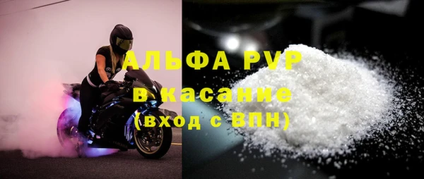 крисы Верея