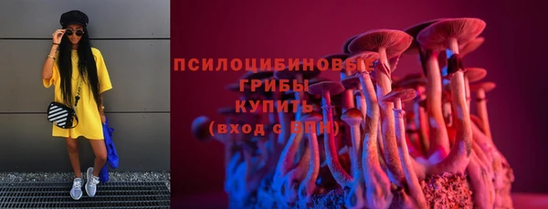 прущая мука Верхний Тагил