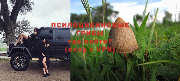 трава Верхнеуральск