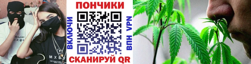 что такое наркотик  Нурлат  Бошки марихуана Bruce Banner 